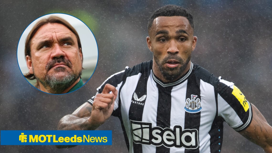 Daniel Farke, Callum Wilson