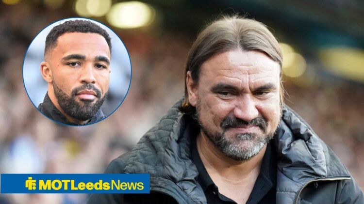 Leeds United manager Daniel Farke and Newcastle United striker Callum Wilson