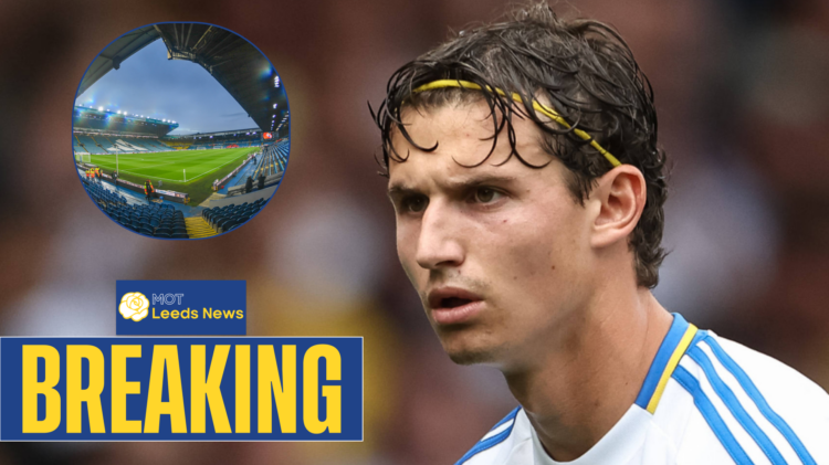 Brenden Aaronson has divided opinion at Leeds United.