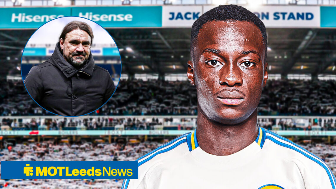 Daniel Farke, Habib Diarra