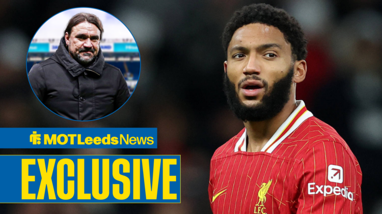 Daniel Farke, Joe Gomez