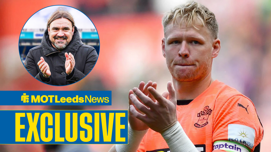 Daniel Farke, Aaron Ramsdale