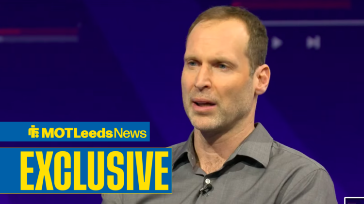 Leeds United could sign the next Petr Cech.