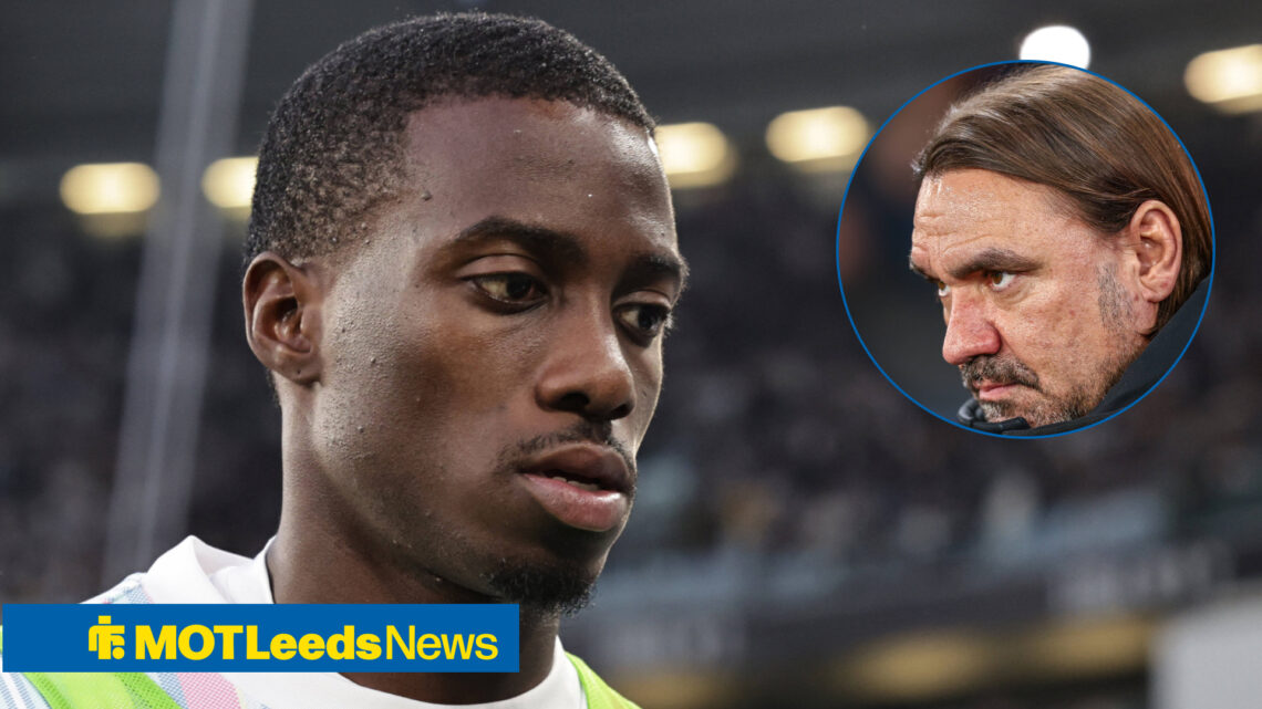 Timothy Weah, Daniel Farke