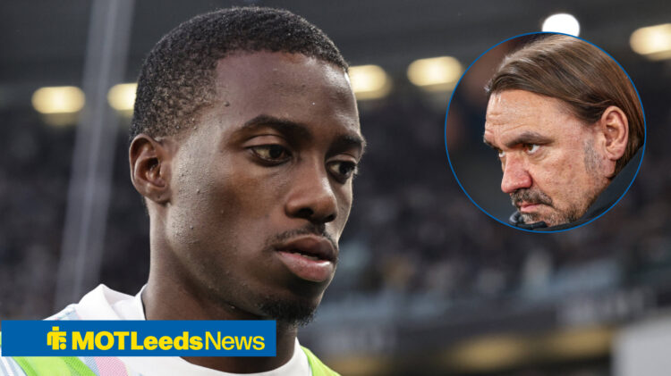 Timothy Weah, Daniel Farke