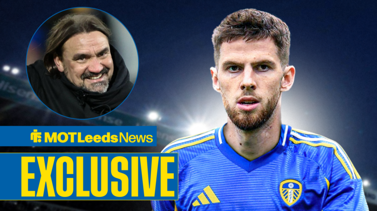 Leeds boss Daniel Farke and new man Anton Stach.