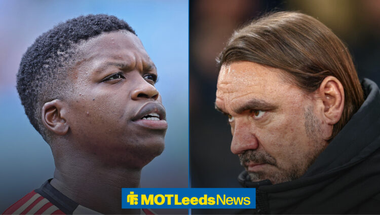 Florentino Luis and Daniel Farke staring