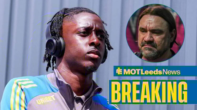 Leeds United manager Daniel Farke and James Debayo