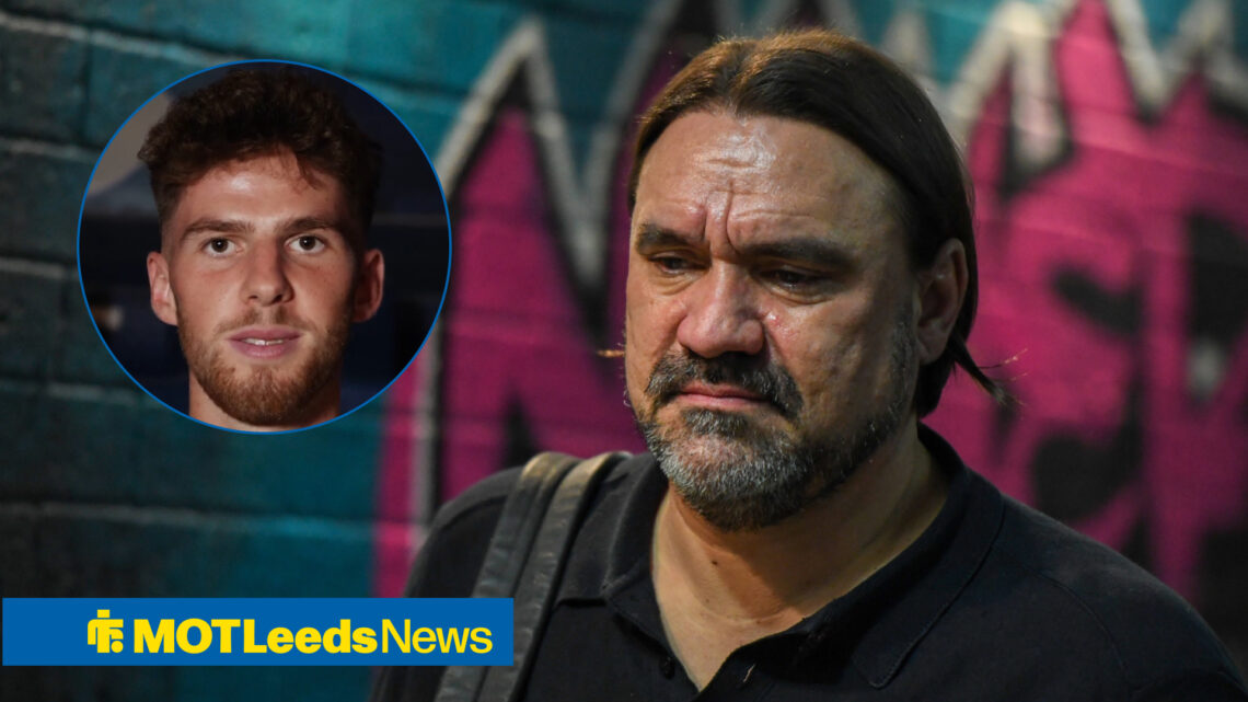 Leeds United manager Daniel Farke and Hoffenheim midfielder Anton Stach