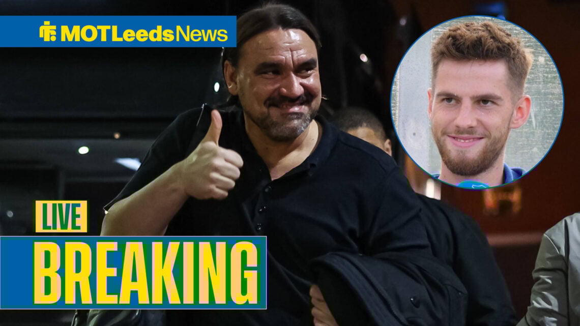 Leeds United boss Daniel Farke could sign Anton Stach.
