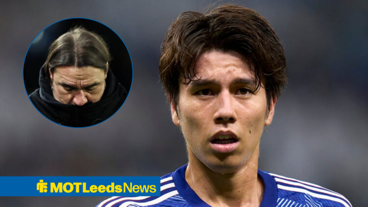 Leeds star Ao Tanaka looking concerned as Daniel Farke looks gutted.