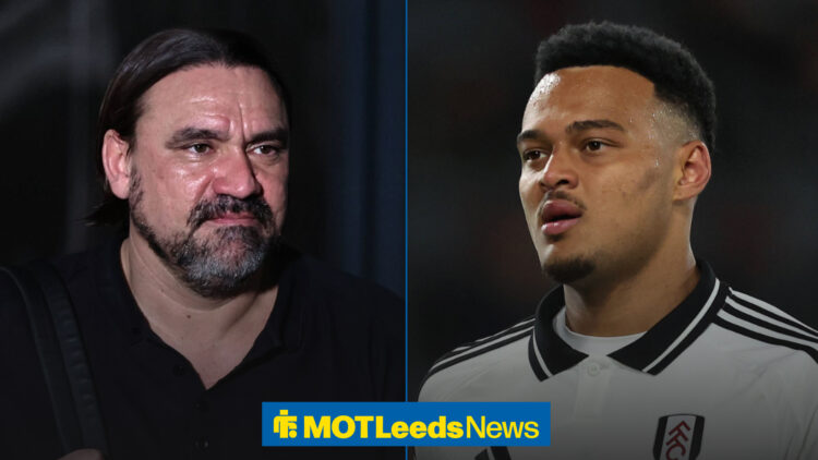 Leeds manager Daniel Farke looks at Fulham striker Rodrigo Muniz.