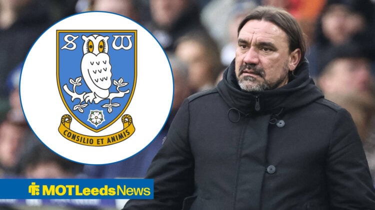 Daniel Farke looks at Sheffield Wednesday badge