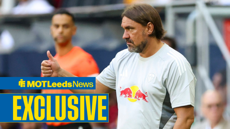 Daniel Farke giving a thumbs up on the touchline.
