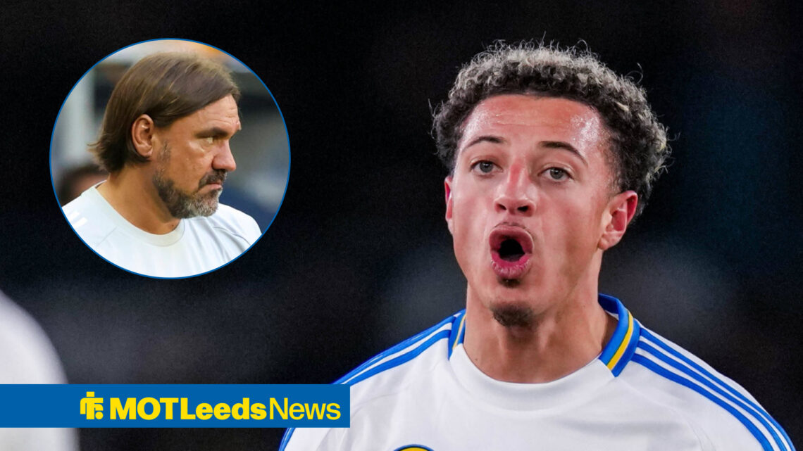 Ethan Ampadu Daniel Farke