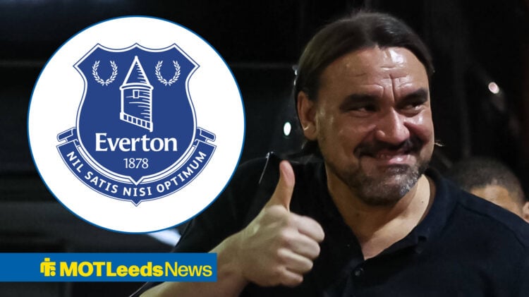 Everton badge, Daniel Farke