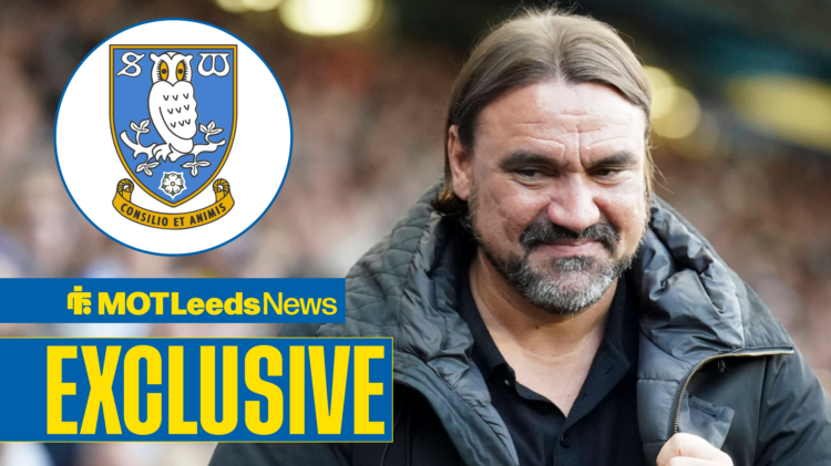 Daniel Farke smiling with Sheffield Wednesday badge