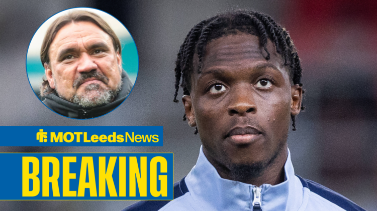 Leeds United manager Daniel Farke and Strasbourg forward Dilane Bakwa