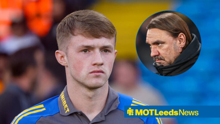 Leeds United manager Daniel Farke and Joe Gelhardt