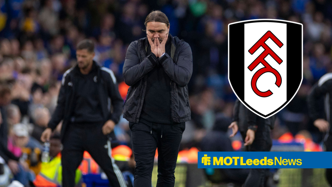 Daniel Farke on the touchline at Elland Road, Fulham Badge