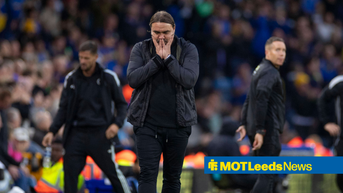 Leeds United manager Daniel Farke frustrated on the touchline.