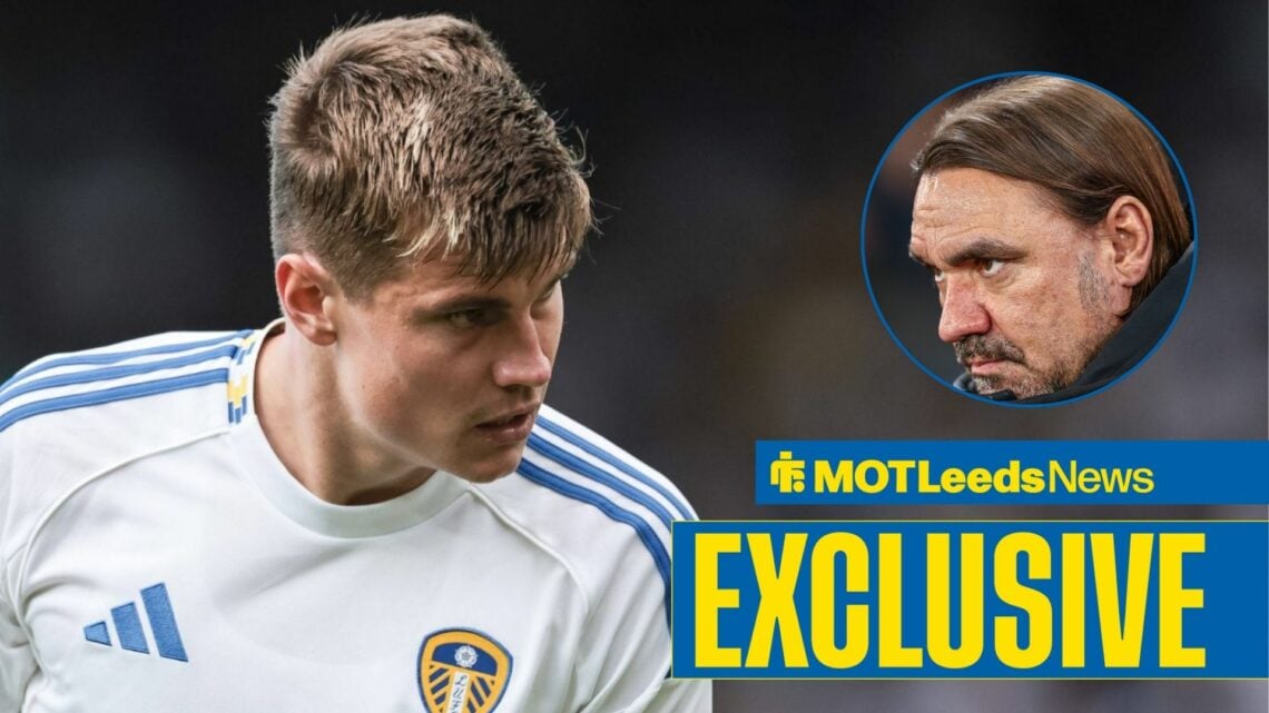 Jaka Bijol in action for Leeds with Daniel Farke in frame