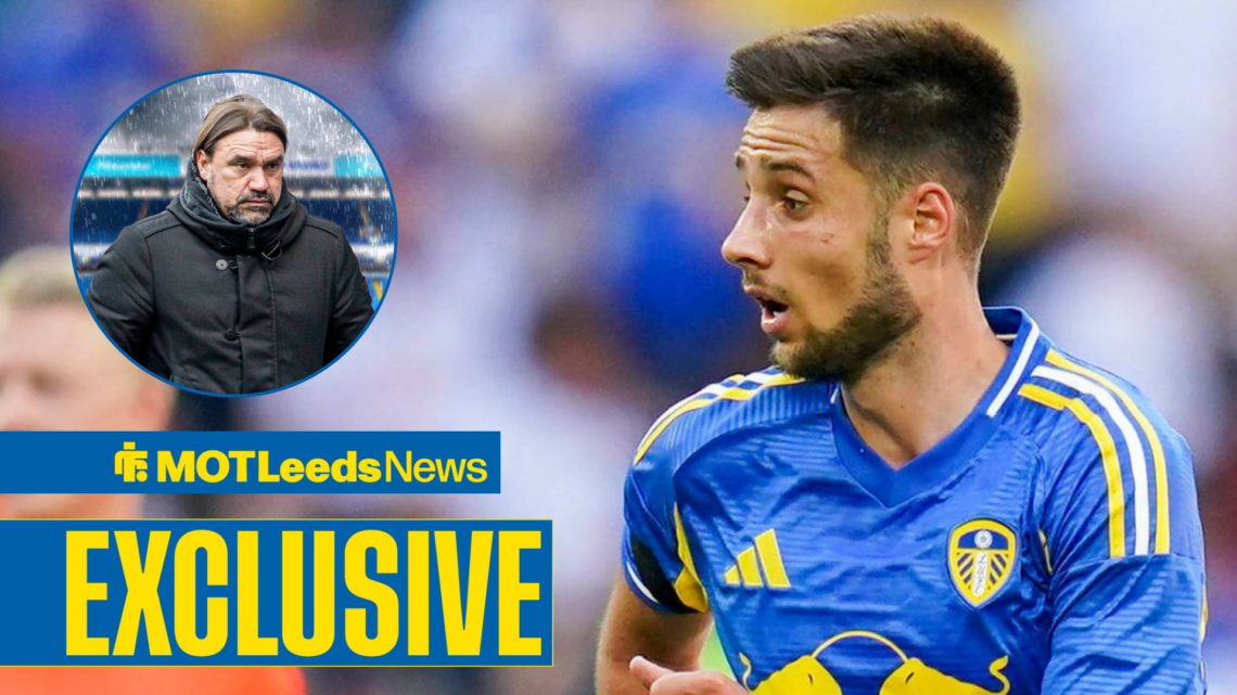 Ilia Gruev playing for Leeds with Daniel Farke in frame