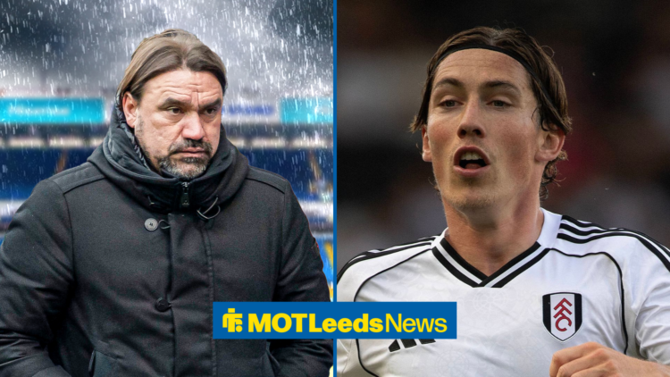 Harry Wilson at Fulham with Daniel Farke looking sad