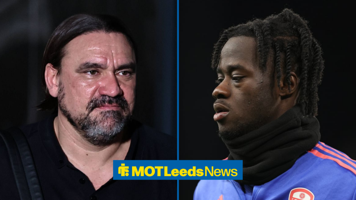 Leeds United manager Daniel Farke, former Leeds midfielder Darko Gyabi