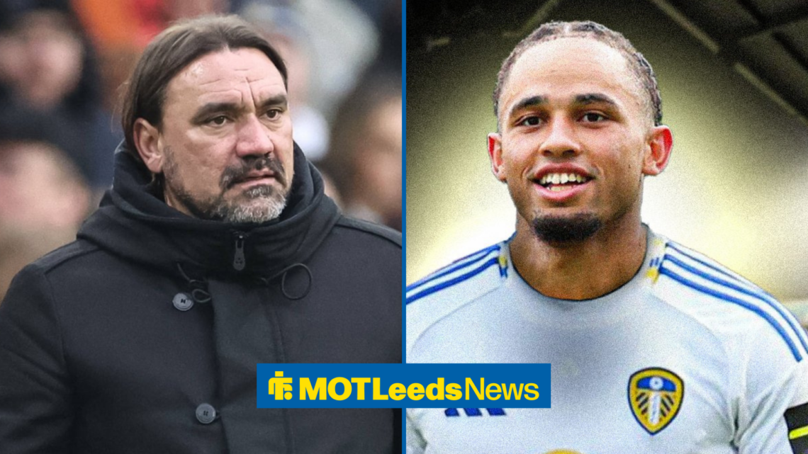 Leeds United manager Daniel Farke, Noah Okafor