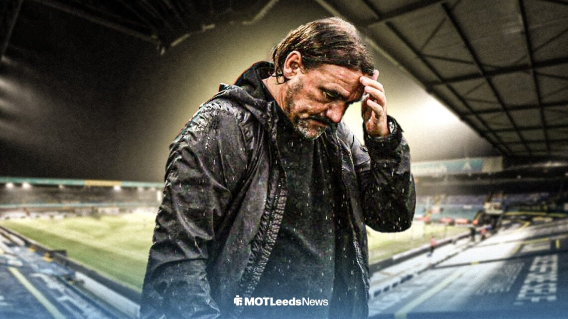 Daniel Farke holding his head in his hands