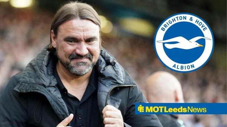 Daniel Farke alongside a circle inset of the Brighton badge.