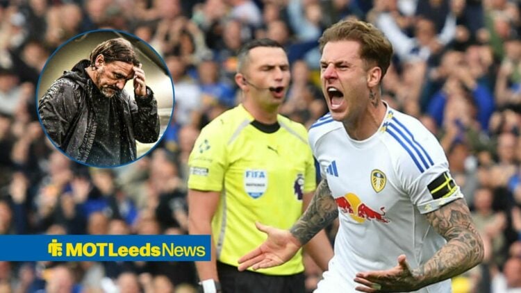 Joe Rodon celebrating with Daniel Farke looking stressed