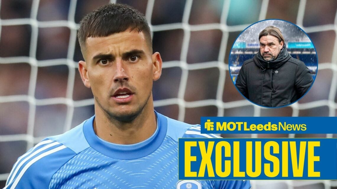 Karl Darlow playing for Leeds with Daniel Farke in frame