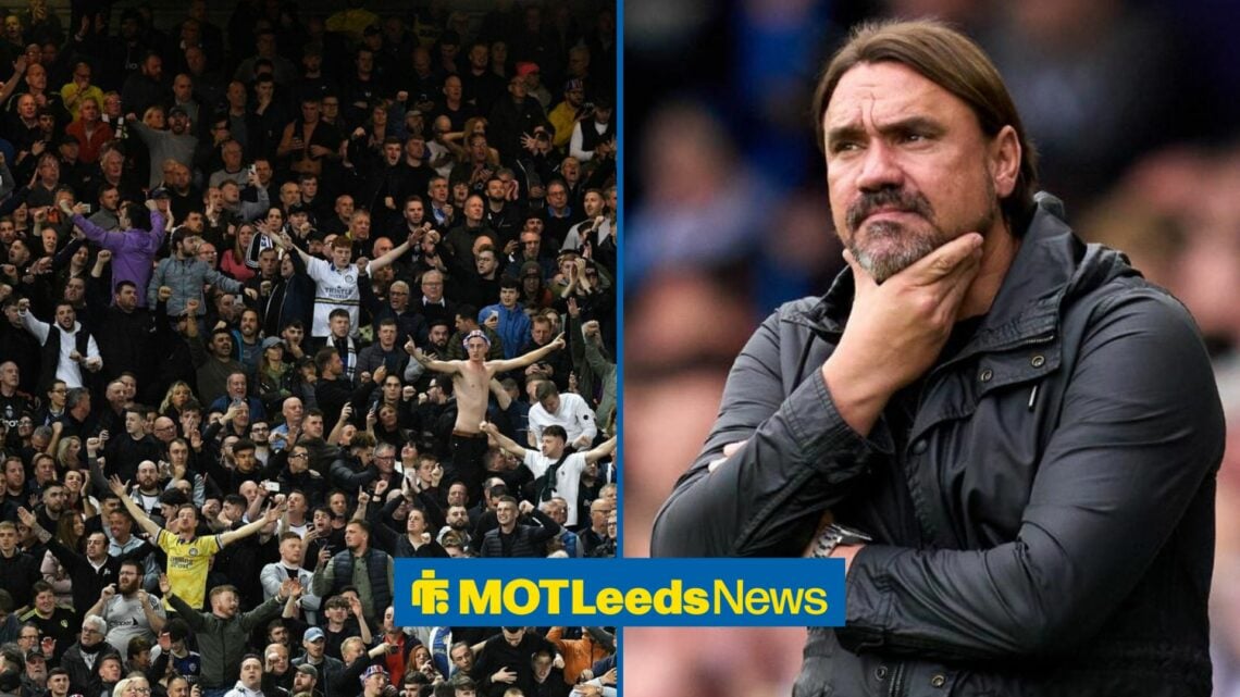 Daniel Farke looking at Leeds fans with a confused face.