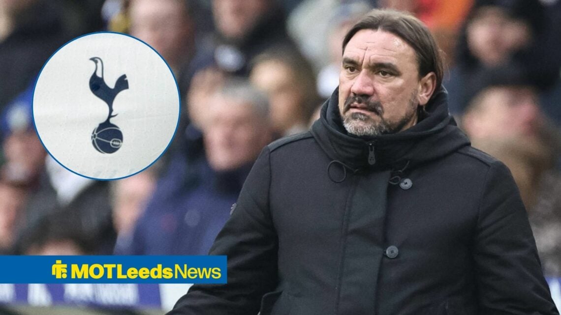 Leeds boss Daniel Farke looking confused, Tottenham badge in inset.