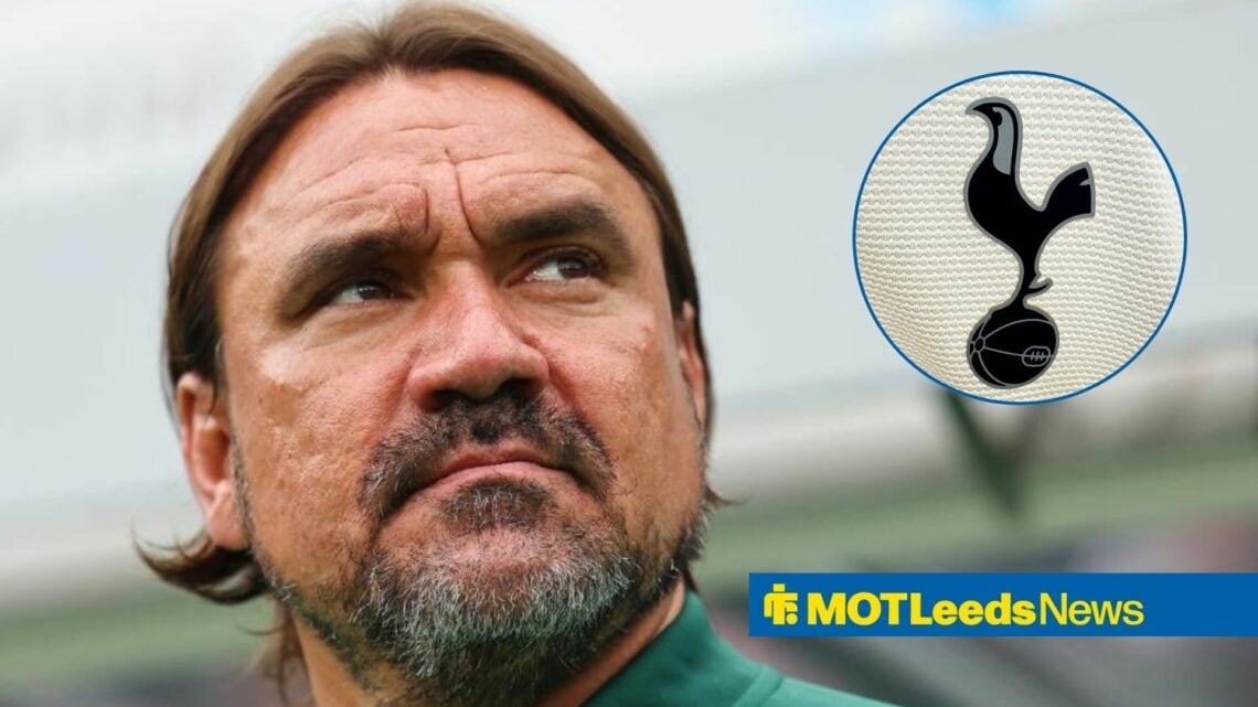 Daniel Farke staring at Tottenham badge