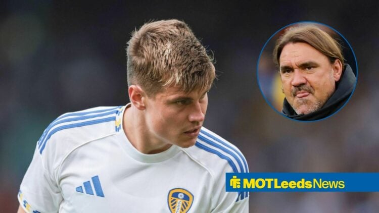 Leeds United defender Jaka Bijol and Daniel Farke in circular inset