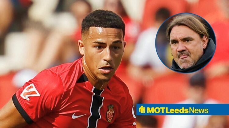 Mateo Joseph at Mallorca and Leeds United manager Daniel Farke in circular inset