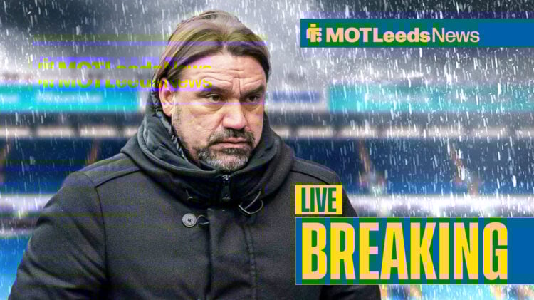 Leeds manager Daniel Farke looks dejected in the rain at Elland Road.