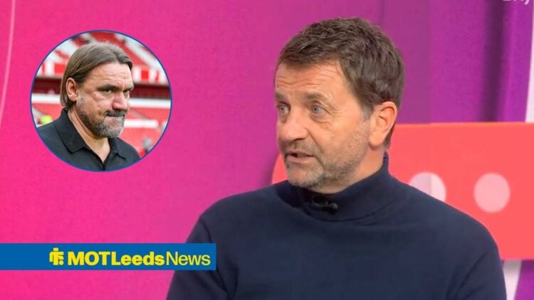 Tim Sherwood looks towards a circular frame of Daniel Farke