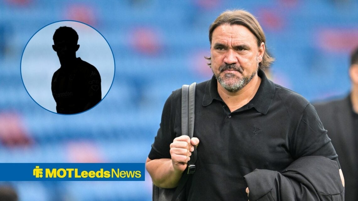 Leeds boss Daniel Farke with Joe Gelhardt blacked out inset