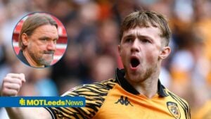 Joe Gelhardt at Hull City and Leeds United manager Daniel Farke in circular inset