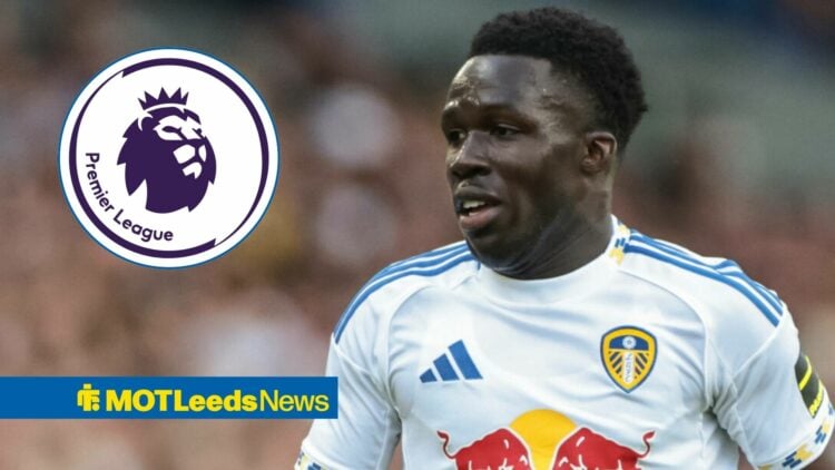 Willy Gnonto, Premier League logo in frame