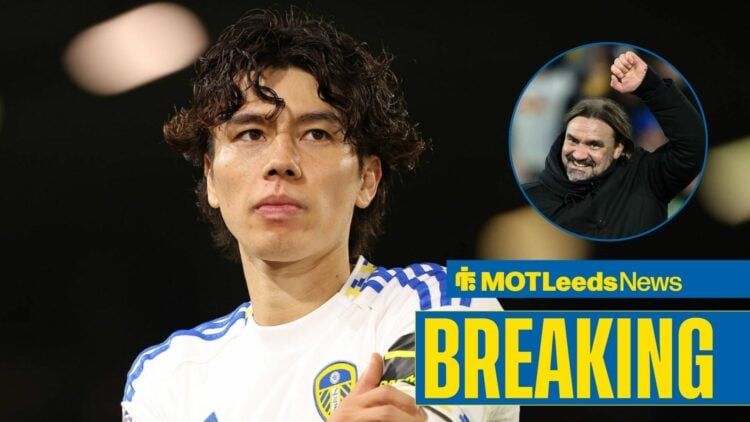 Ao Tanaka looking at Daniel Farke who is cheering.