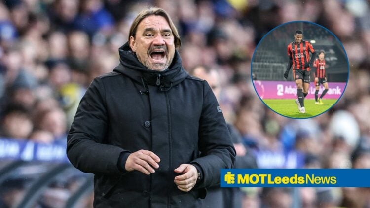 Leeds boss Daniel Farke with Ousmane Diao inset