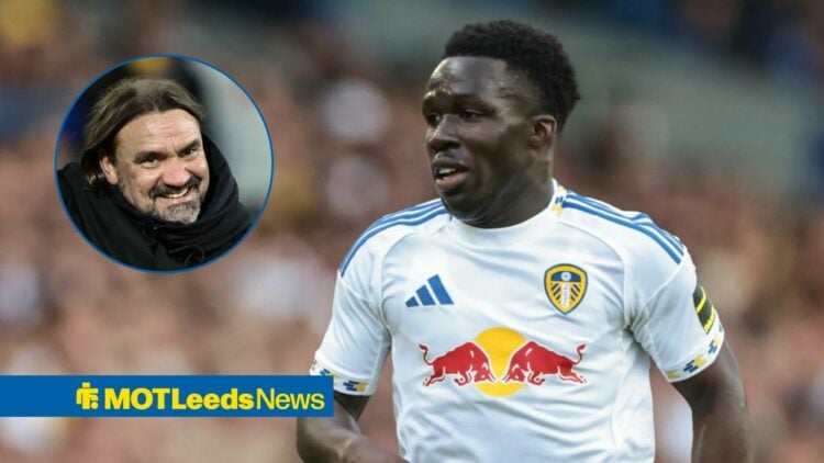 Daniel Farke next to Willy Gnonto