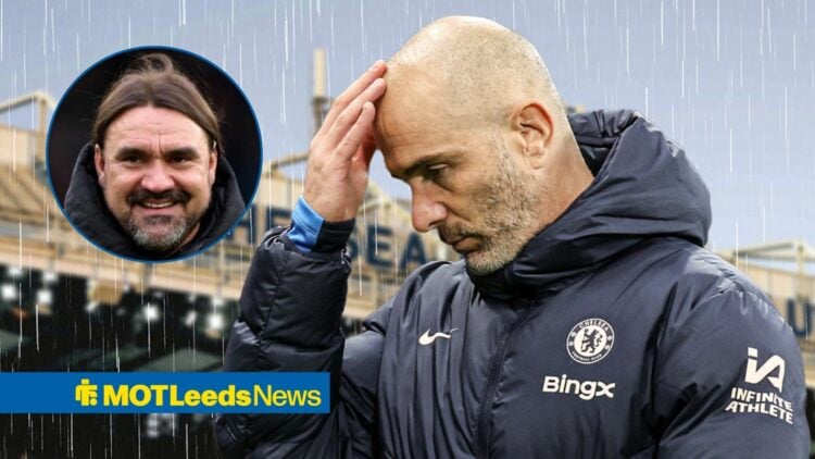 Daniel Farke next to Enzo Maresca