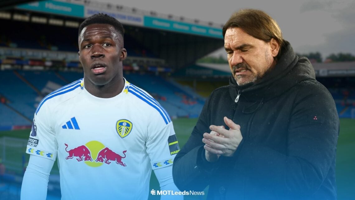 Willy Gnonto at Leeds, Daniel Farke angry