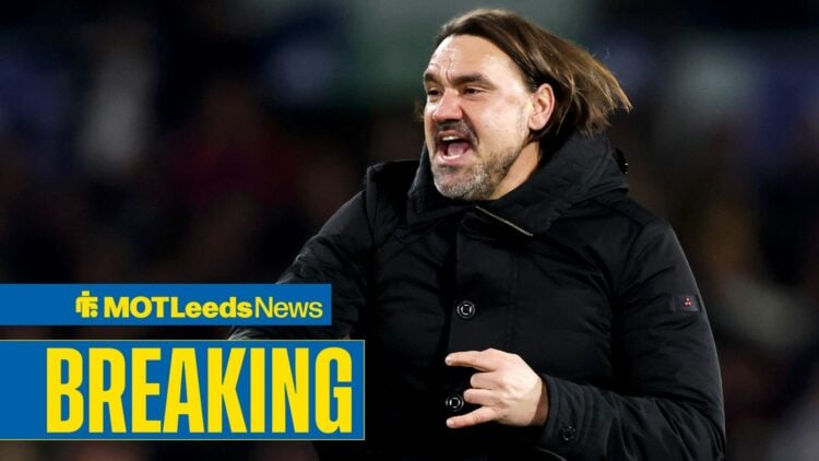 Daniel Farke celebrating